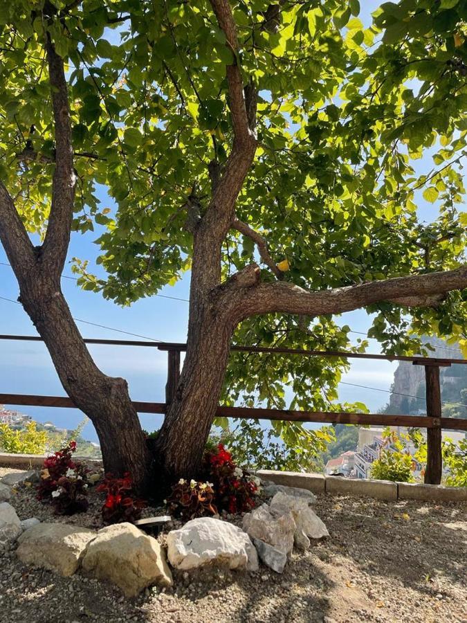 La Villa Di Enzo Casa Vacanze Con Vista Mare Amalfi Buitenkant foto